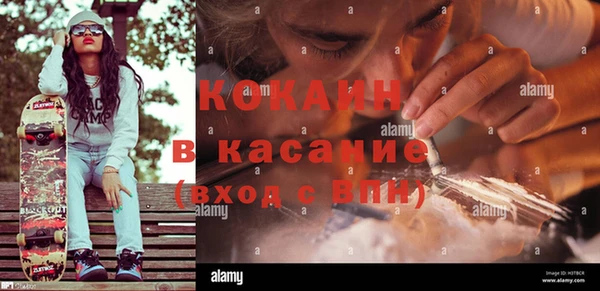 ПСИЛОЦИБИНОВЫЕ ГРИБЫ Баксан