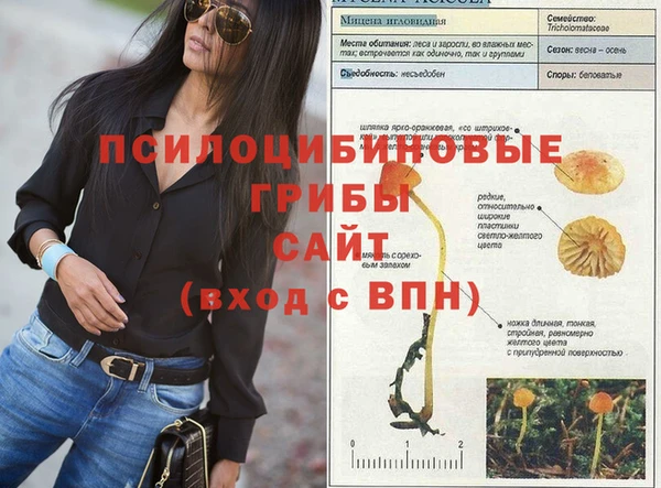 ALPHA PVP Балахна
