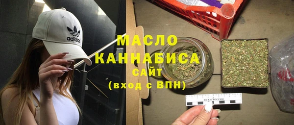 гидра Снежногорск