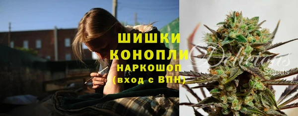 ПСИЛОЦИБИНОВЫЕ ГРИБЫ Баксан